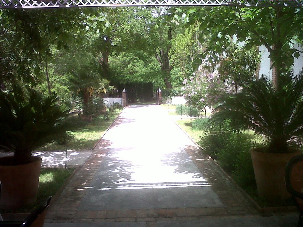 Rural Molino Del Puente *